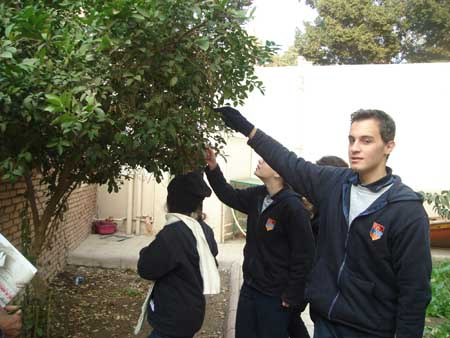 slideshow_large